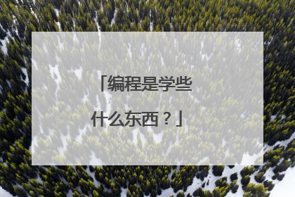 编程是学些什么东西？