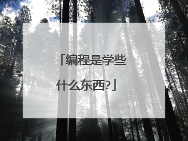 编程是学些什么东西?