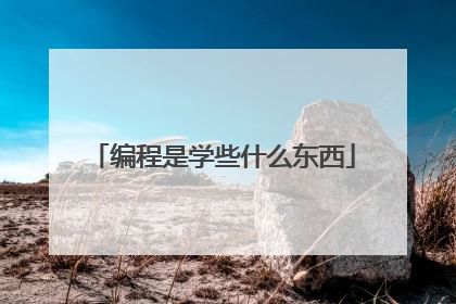 编程是学些什么东西