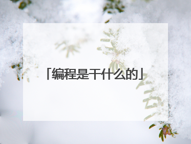 编程是干什么的