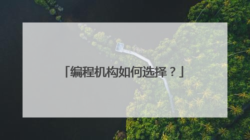 编程机构如何选择?