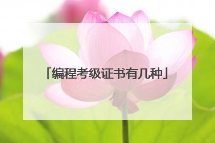编程考级证书有几种