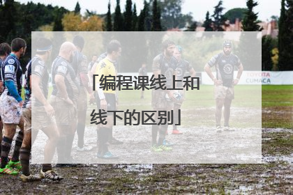 编程课线上和线下的区别