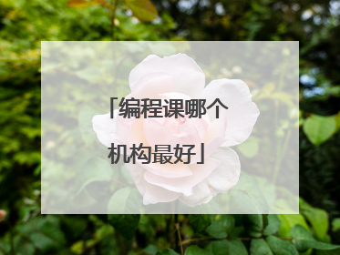 编程课哪个机构最好