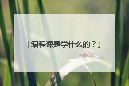 编程课是学什么的?