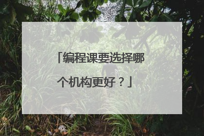 编程课要选择哪个机构更好?