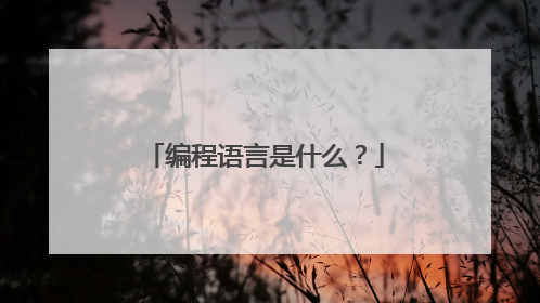 编程语言是什么？