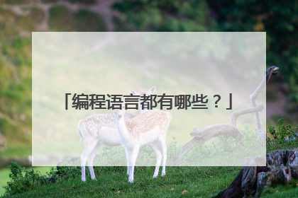 编程语言都有哪些?