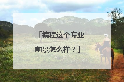 编程这个专业前景怎么样?
