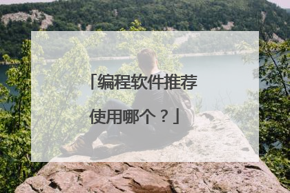 编程软件推荐使用哪个?