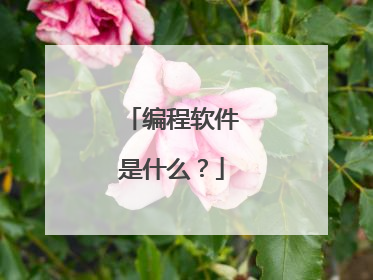 编程软件是什么？