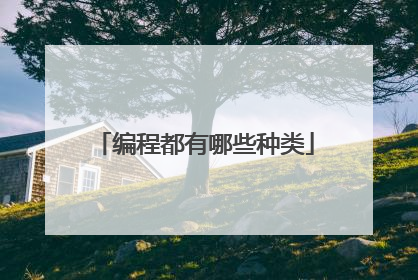 编程都有哪些种类