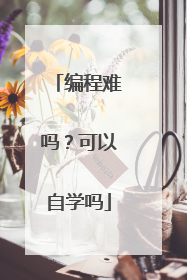 编程难吗？可以自学吗