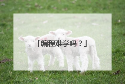 编程难学吗?