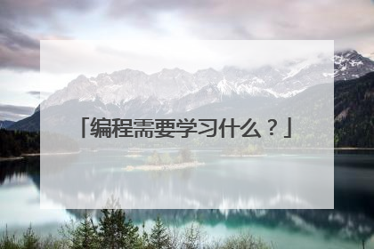 编程需要学习什么？