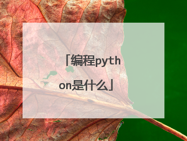 编程python是什么