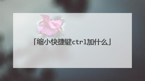 缩小快捷键ctrl加什么
