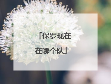 保罗现在在哪个队