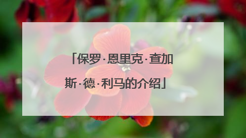 保罗·恩里克·查加斯·德·利马的介绍