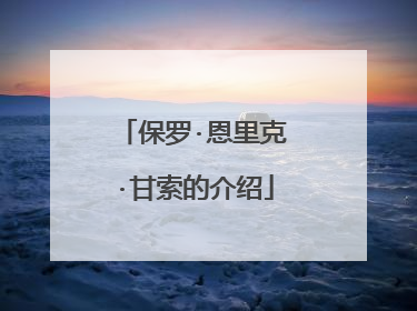 保罗·恩里克·甘索的介绍