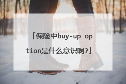 保险中buy-up option是什么意识啊?
