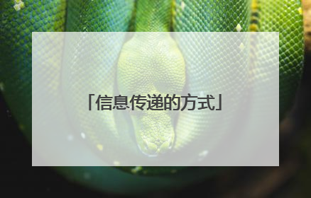 信息传递的方式