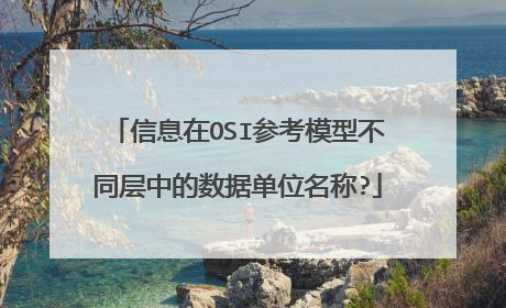 信息在OSI参考模型不同层中的数据单位名称?