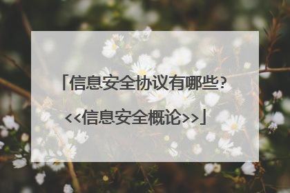 信息安全协议有哪些?<<信息安全概论>>
