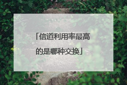 信道利用率最高的是哪种交换