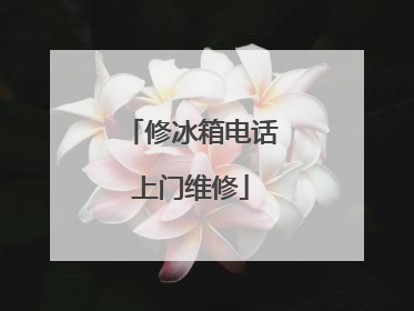 修冰箱电话上门维修