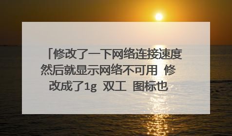 修改了一下网络连接速度然后就显示网络不可用 修改成了1g 双工 图标也是黑的,无法交互