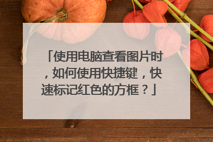 使用电脑查看图片时，如何使用快捷键，快速标记红色的方框？