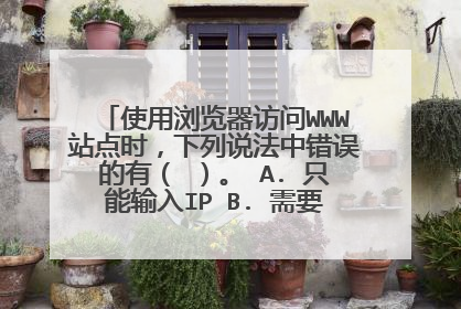 使用浏览器访问WWW站点时,下列说法中错误的有( )。 A. 只能输入IP B. 需要同时输入IP地址和域名 C. 只能