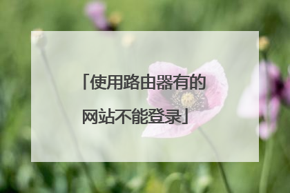 使用路由器有的网站不能登录
