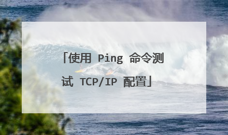使用 Ping 命令测试 TCP/IP 配置