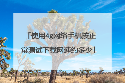 使用4g网络手机按正常测试下载网速约多少