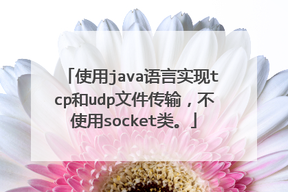 使用java语言实现tcp和udp文件传输，不使用socket类。