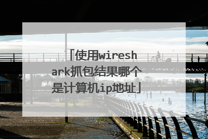 使用wireshark抓包结果哪个是计算机ip地址