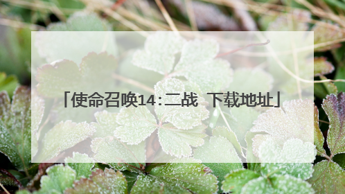 使命召唤14:二战 下载地址