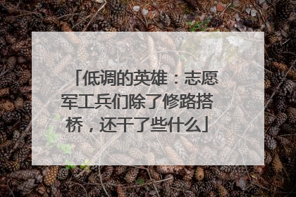 低调的英雄：志愿军工兵们除了修路搭桥，还干了些什么