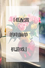低配置的电脑单机游戏