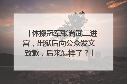 体操冠军张尚武二进宫，出狱后向公众发文致歉，后来怎样了？