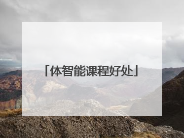 体智能课程好处