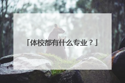 体校都有什么专业?