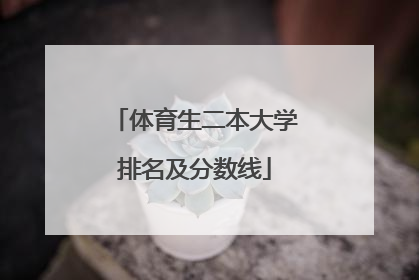 体育生二本大学排名及分数线