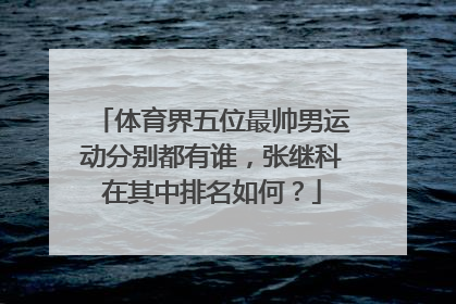 体育界五位最帅男运动分别都有谁，张继科在其中排名如何？