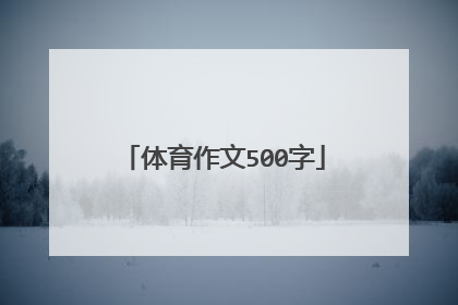 体育作文500字