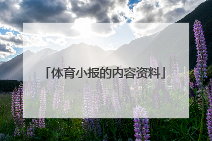体育小报的内容资料