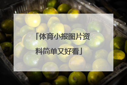 体育小报图片资料简单又好看