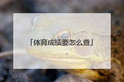 体育成绩要怎么查